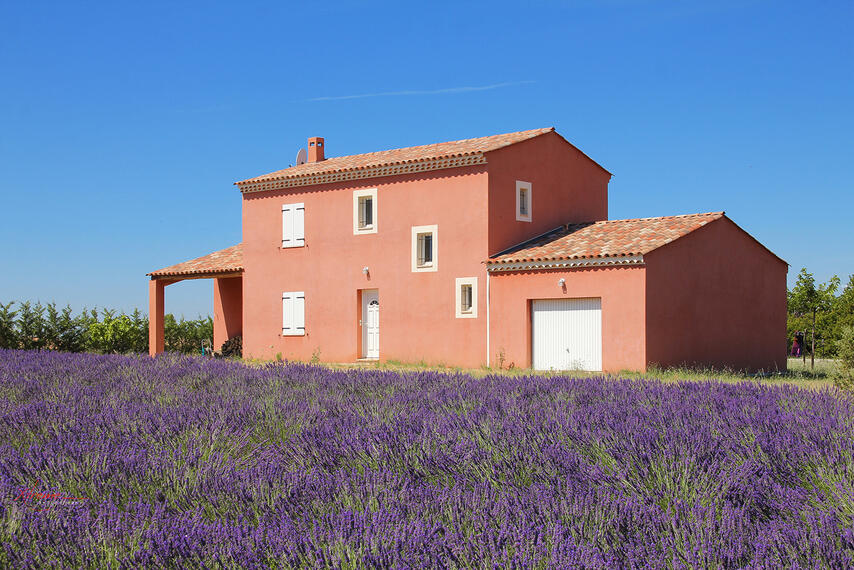 A farmhouse in Valensole, France, 2016
